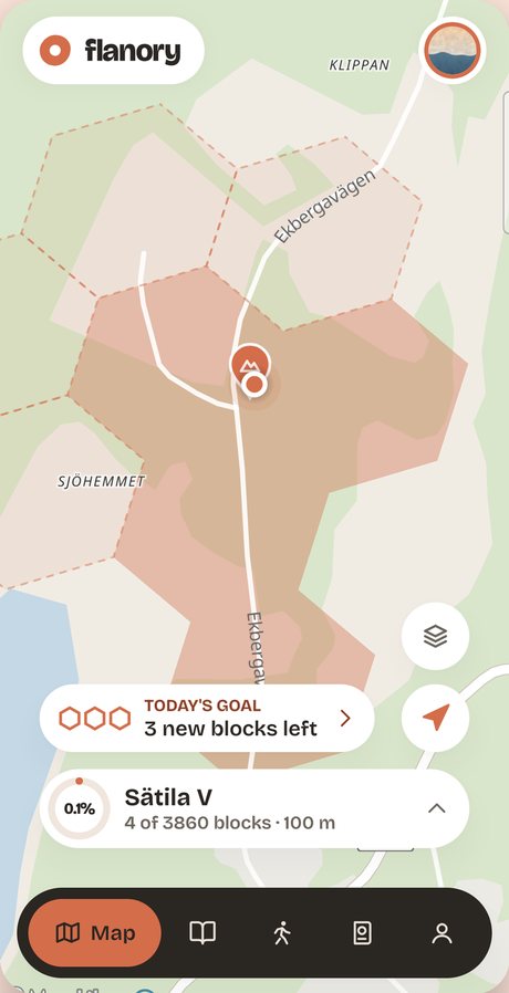 The map in Flanory